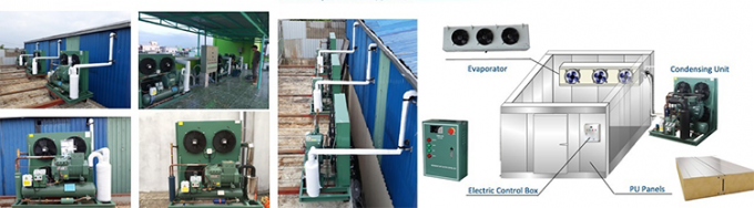 Certificado DSD-40 CE Producido en China Cooler de aire de techo Evaporador de techo de doble lado Precio Evaporador de habitación fría Fabricante 3