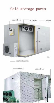 cold food storage Meat storage cold storage 55 cubic meters temperature -20 degrees cold storage price