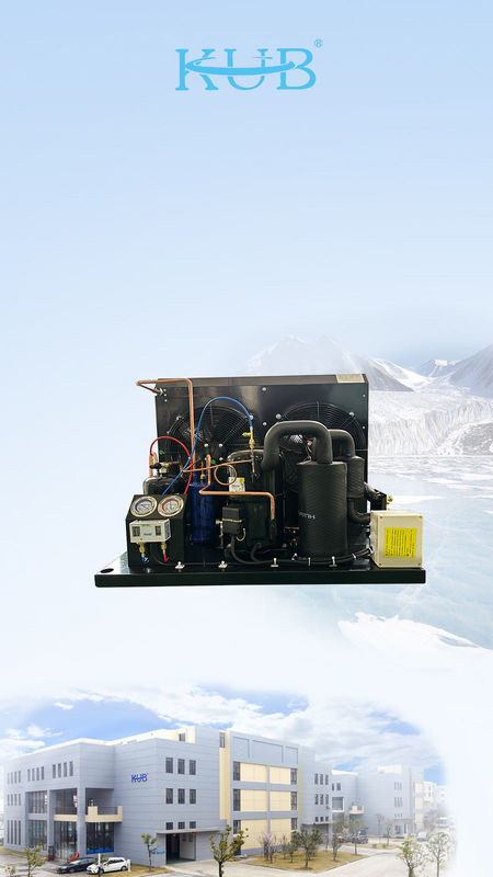 TAG2516Z Unidad de refrigeración del compresor Tecumseh Unidad de congelación Unidad de condensación r404a Unidad para caminar en la sala de congelación