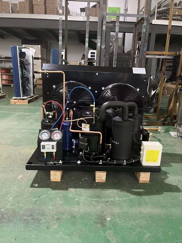 TAG2516Z Unidad de refrigeración del compresor Tecumseh Unidad de congelación Unidad de condensación r404a Unidad para caminar en la sala de congelación