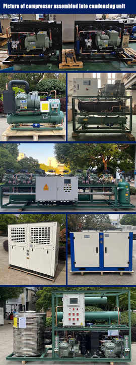 Compresor de refrigeración de 2HP a 50HP Fabricado en China Soporte compresor de pistón semihermético personalizado y económico para refrigeración de almacenamiento en frío, compresor de almacenamiento en frío, sistema de almacenamiento en frío, almacenamiento en frío industrial