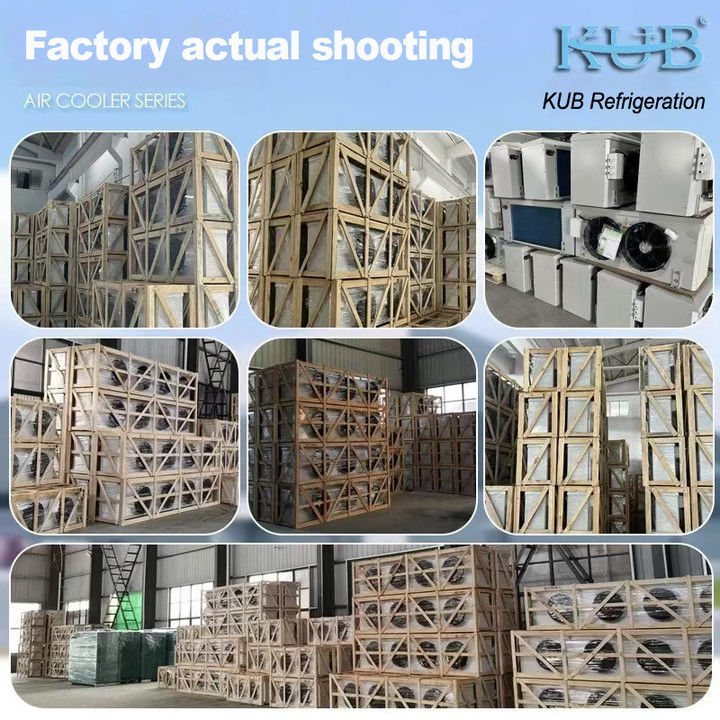 Enfriador de unidad DL serie DL22 certificación CE enfriador de aire personalizado evaporador de almacenamiento en frío 3HP evaporador de techo, adecuado para refrigeración de almacenes, cámara frigorífica, almacenamiento en frío de verduras