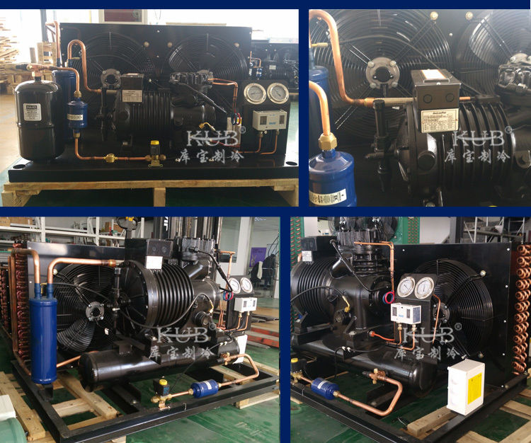 BFS51 Sala de frío confiable Compresor semihérmico Unidad de condensación de almacenamiento en frío Unidad de refrigeración fácil de operar