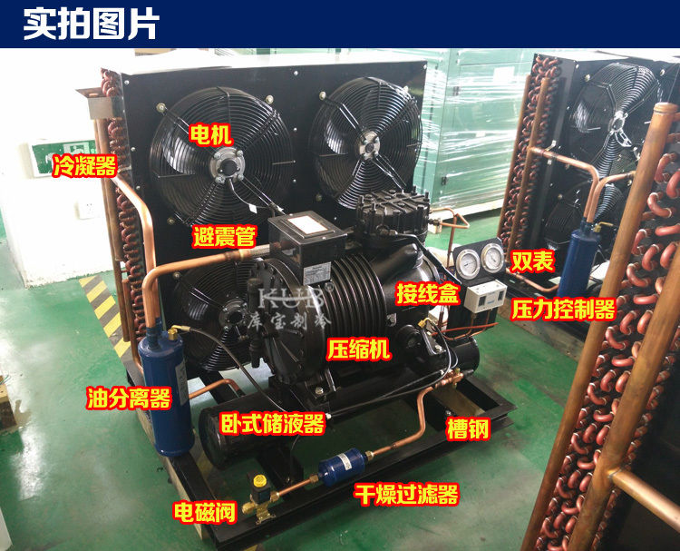 BFS51 Sala de frío confiable Compresor semihérmico Unidad de condensación de almacenamiento en frío Unidad de refrigeración fácil de operar