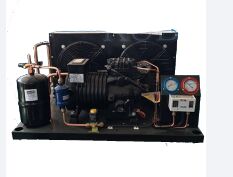 Unidad de condensación de compresor semihermético fiable para cámaras frigoríficas BFS81, unidad de refrigeración para almacenamiento en frío, fácil de operar