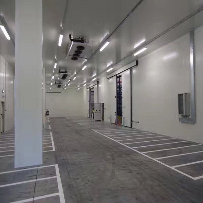 Nuevo trastero frío para el refrigerador de aire vegetal de la cámara fría del beaf de la patata de la carne