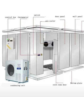 Cambio de contenedor de almacenamiento en frío americano a mini edificio modular de almacenamiento en frío con aislamiento de almacenamiento en frío de 100 mm